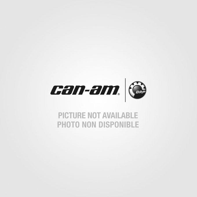 Natural Color, Dart 293730081 | Can-Am® Off-Road US Official